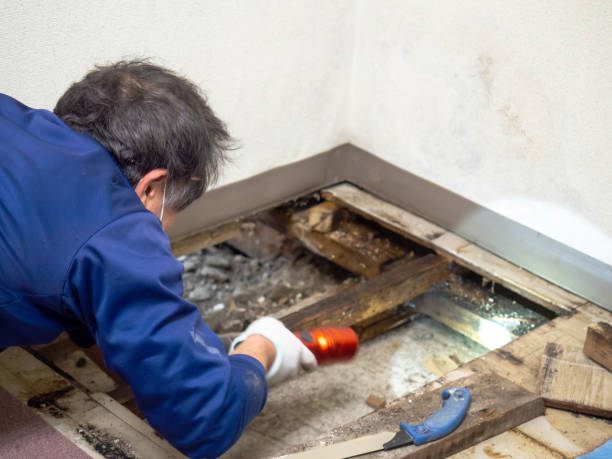 Best Industrial Mold Remediation in Pughtown, PA